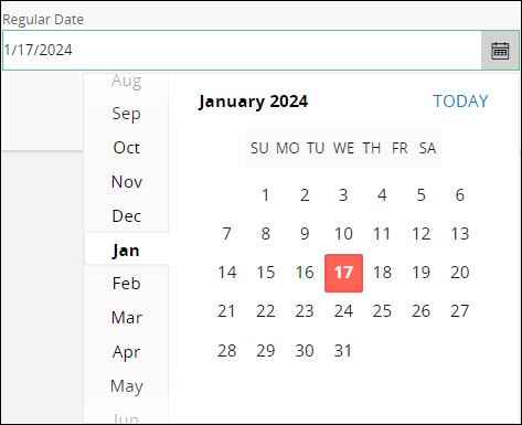 Date Time Picker - Date